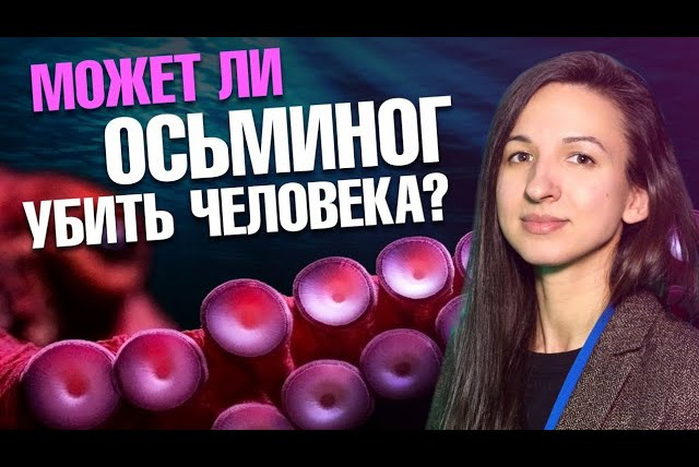 Ученые против мифов — s21e05 — Может ли осьминог убить человека? — Морской биолог Ирина Мейнцер | Ученые против мифов 20-5