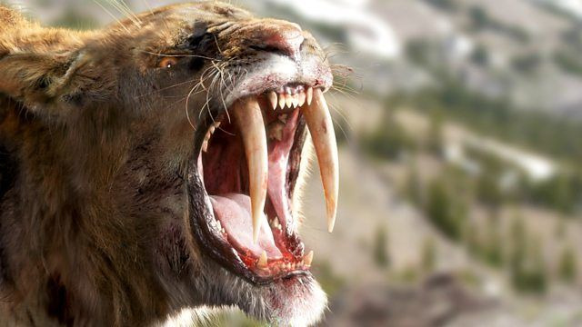 Ice Age Giants — s01e01 — Land of the Sabre-Tooth