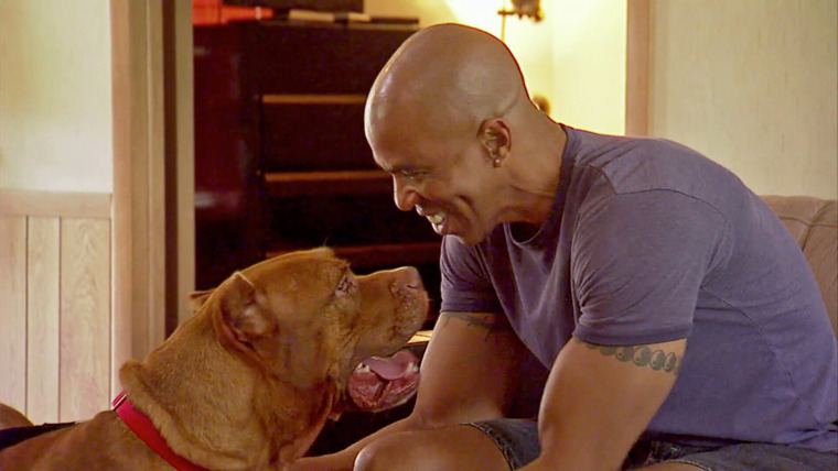 Pit Bulls & Parolees — s05e11 — Not Meant to Be