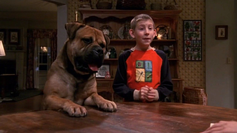 Malcolm in the Middle — s03e17 — Dewey's Dog