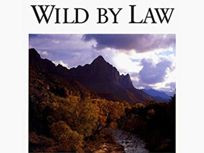 Американское приключение — s04e13 — Wild by Law