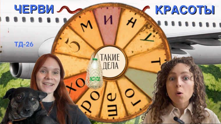 Такие Дела — s10e08 — Судебные приставы спасают хаски и другие хорошие новости