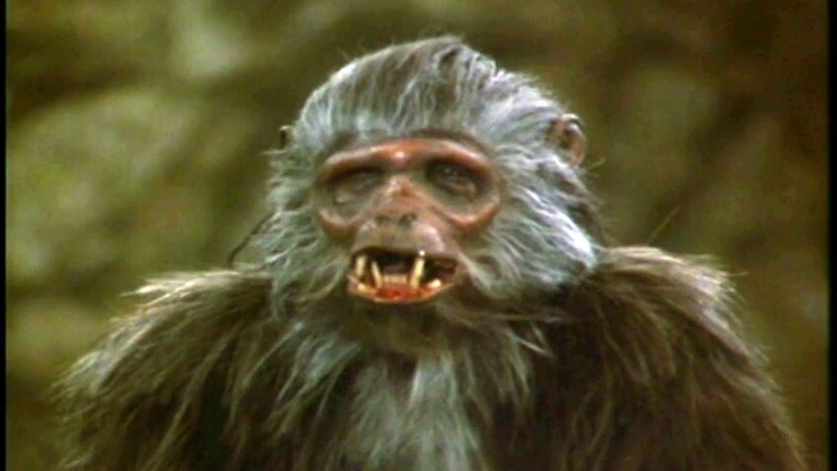 Сказки Золотой обезьяны — s01e01 — Tales of the Gold Monkey