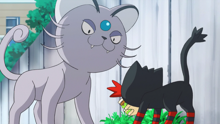 Покемон — s20e07 — That's Why the Litten is a Scamp!