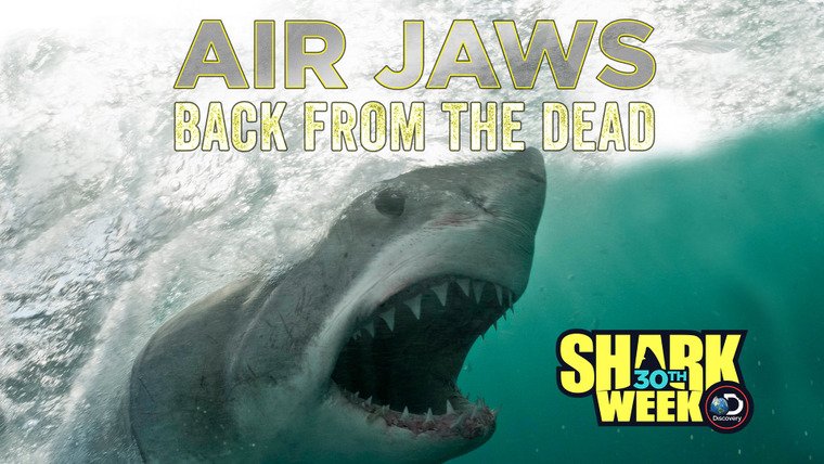 Shark Week — s2018e11 — Air Jaws: Back From the Dead