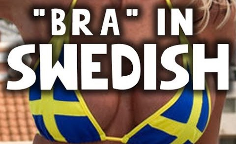 PewDiePie — s05e207 — Useful Swedish words that you should know..