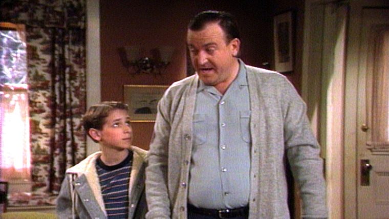 Family Ties — s03e23 — Remembrances of Things Past (1)
