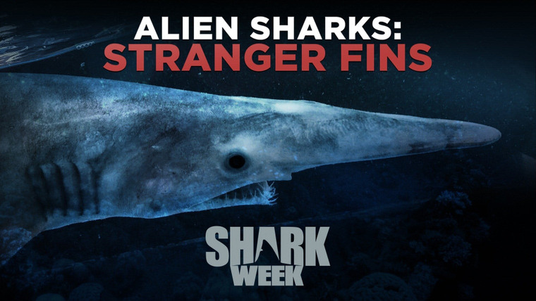 Shark Week — s2017e07 — Alien Sharks: Stranger Fins