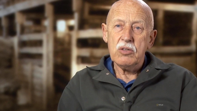 The Incredible Dr. Pol — s13e11 — You Can't Handle the Tooth