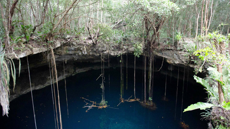 Дикая территория — s03e01 — Lost World of the Yucatan