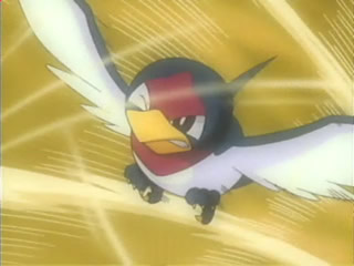 Pokémon the Series — s07e40 — That's Just Swellow