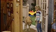 Full House — s03e07 — And They Call It Puppy Love