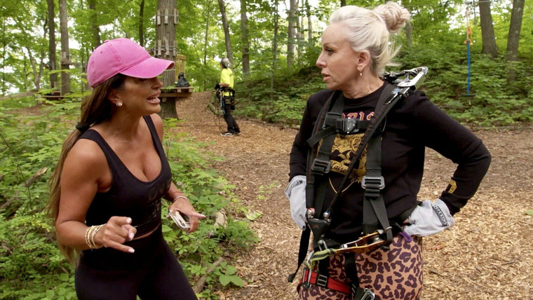 The Real Housewives of New Jersey — s12e09 — There's No Crying in Softball