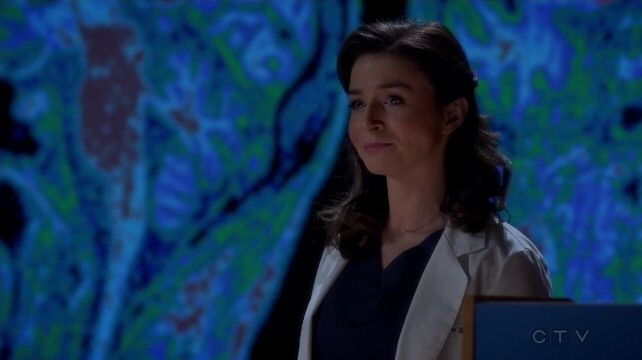 Grey's Anatomy — s11e13 — Staring at the End