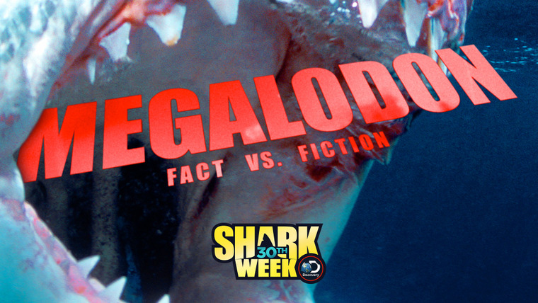 Shark Week — s2018e18 — Megalodon: Fact Vs. Fiction