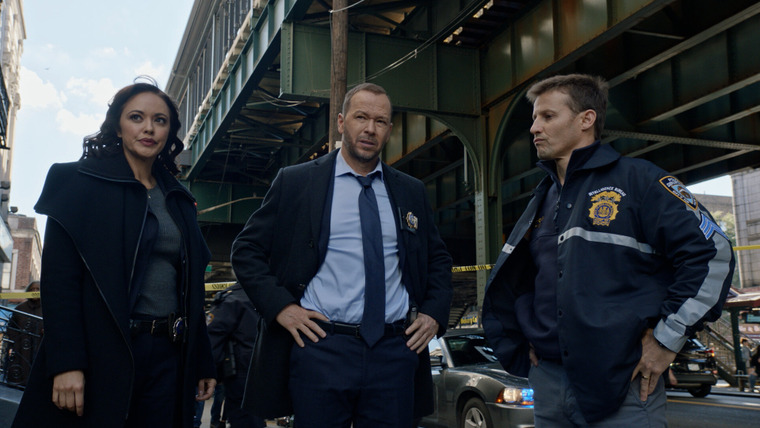 Blue Bloods — s13e07 — Heroes