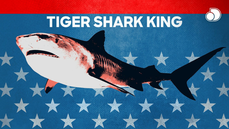 Shark Week — s2020e18 — Tiger Shark King