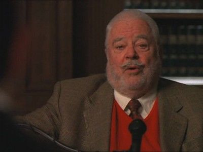 Элли МакБил — s04e08 — The Man with the Bag