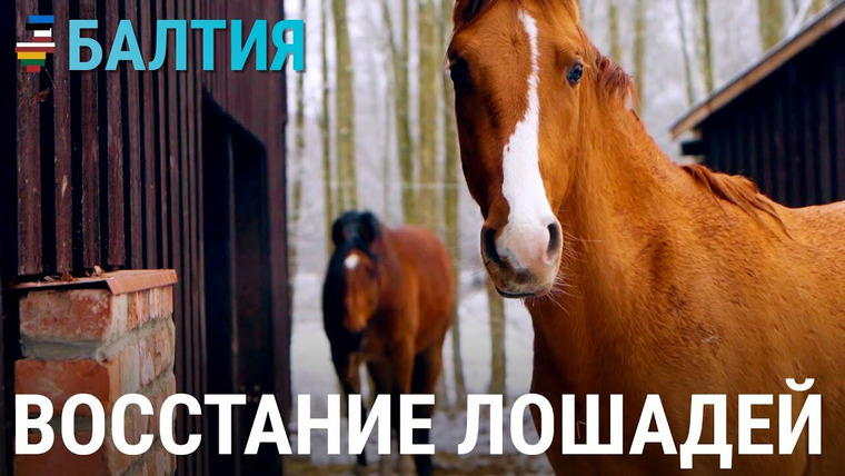 Балтия — s03e04 — Восстание лошадей. История одной латвийской фермы
