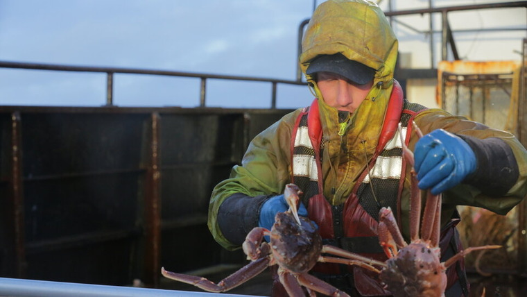 Deadliest Catch — s11e15 — New Blood, Old Wounds