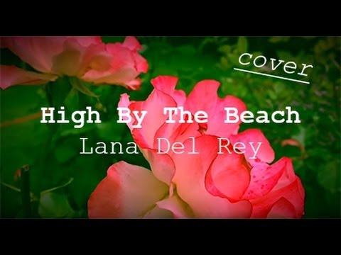 nixelpixel  — s04e09 — High By The Beach - Lana Del Rey (cover)