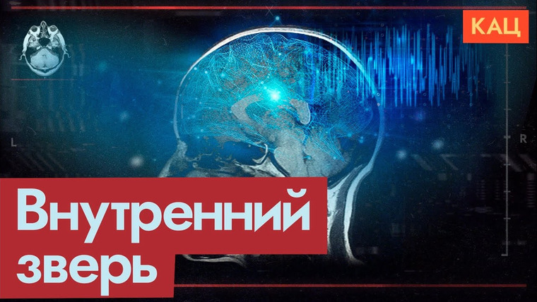 Максим Кац — s06e337 — Что делает из людей зверей | Психология насилия