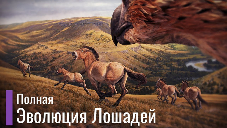 The Last Dino — s05e07 — Реальная Эволюция Лошадей. Первобытные лошади