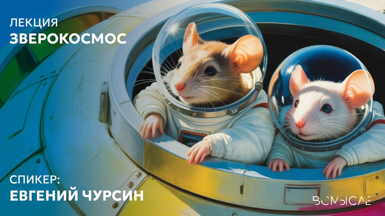 Сообщество ВСмысле — s06e14 — Зверокосмос. Евгений Чурсин