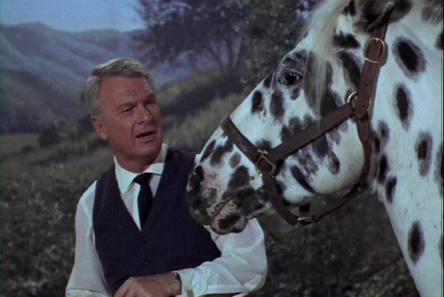 Green Acres — s01e29 — Horse? What Horse?