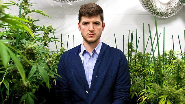 Cannabis: What's the Harm? — s01e01 — Episode 1