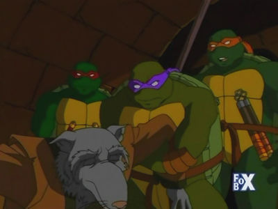 Teenage Mutant Ninja Turtles — s02e19 — Rogue in the House - Part One