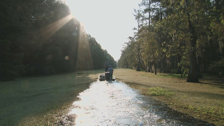 Swamp People — s07e01 — High Water Hell