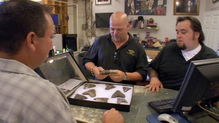 Pawn Stars — s01e16 — Sharks and Cobras
