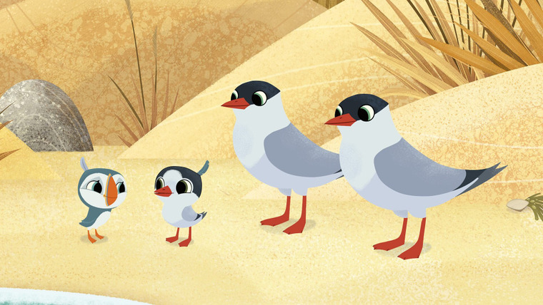 Puffin Rock — s02e27 — A Summer Visitor