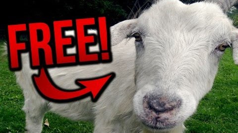 PewDiePie — s06e182 — GET A GOAT FOR FREE! (BroKen #7)