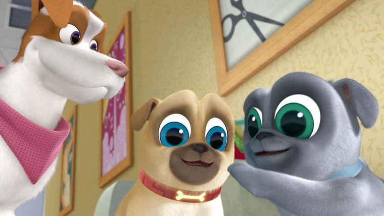 Puppy Dog Pals — s01e24 — Counting Sheep