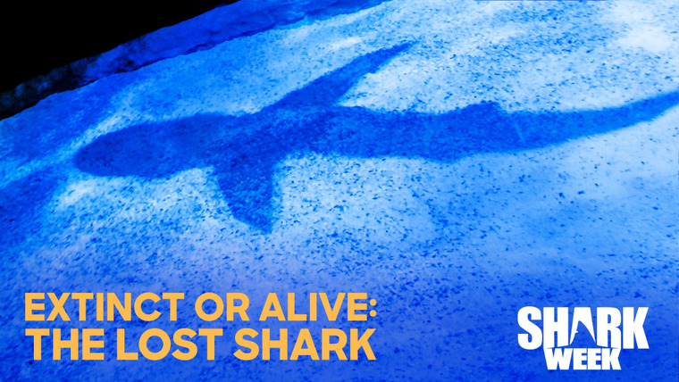 Shark Week — s2019e12 — Extinct or Alive: The Lost Shark