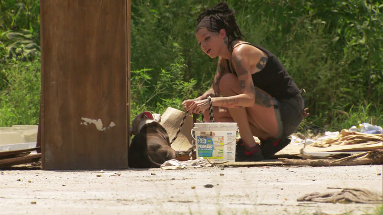 Pit Bulls & Parolees — s08e06 — Shock to the System