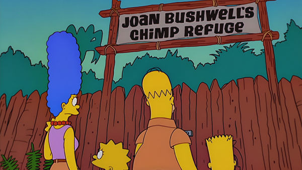 The Simpsons — s12e17 — Simpsons Safari