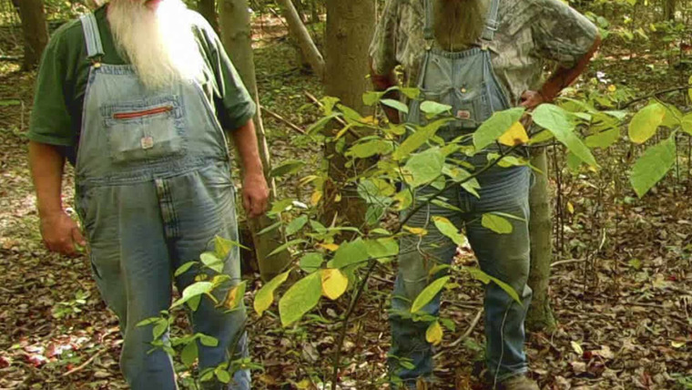 Mountain Monsters — s05e03 — Enter the Dark Forest
