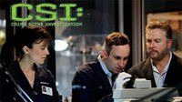 CSI: Место преступления — s08e13 — A Thousand Days on Earth