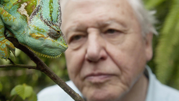 David Attenborough's Natural Curiosities — s01e01 — Stretched to the Limit