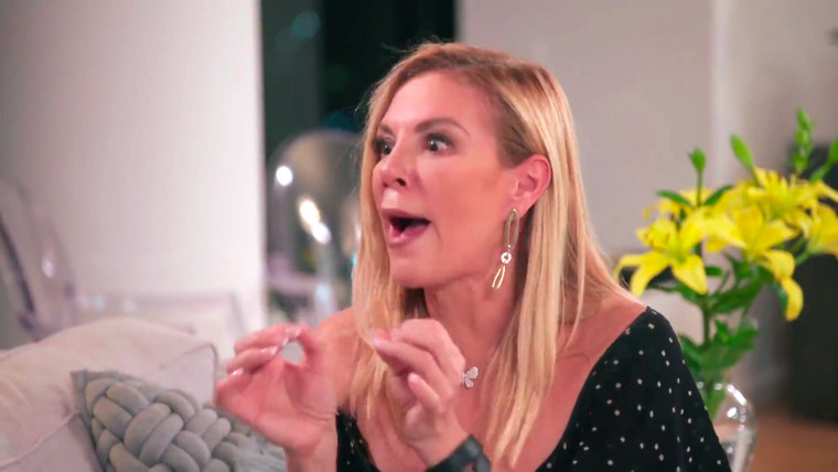 The Real Housewives of New York City — s13e08 — A Harlem Night