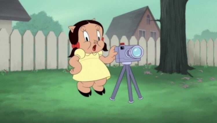 Мультфильмы Луни Тюнз — s01e86 — Pigture Perfect
