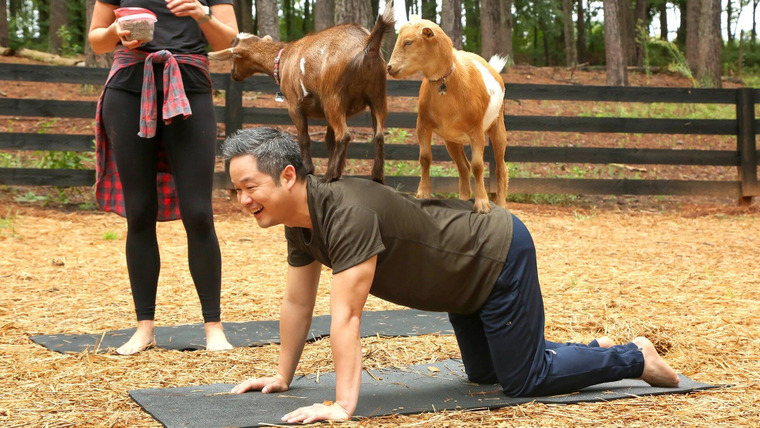 Naturally, Danny Seo — s03e14 — A Goat Yoga Experience