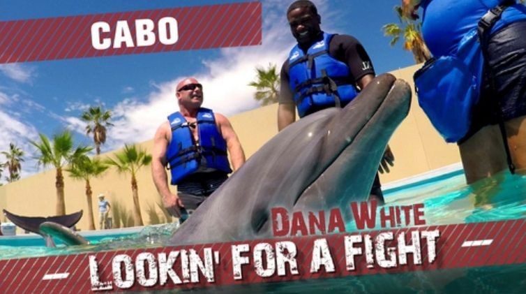 Dana White: Lookin' for a Fight — s2018e01 — Cabo