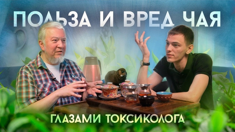 Алексей Водовозов — s11e10 — Польза и вред чая | Интервью