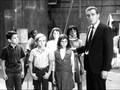 The Outer Limits — s02e11 — The Inheritors (2)