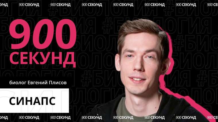 900 секунд — s02e39 — Химия мозга, или как работает синапс — за 900 секунд