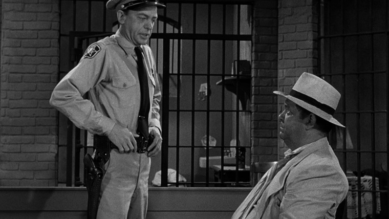 Шоу Энди Гриффита  — s01e25 — A Plaque for Mayberry